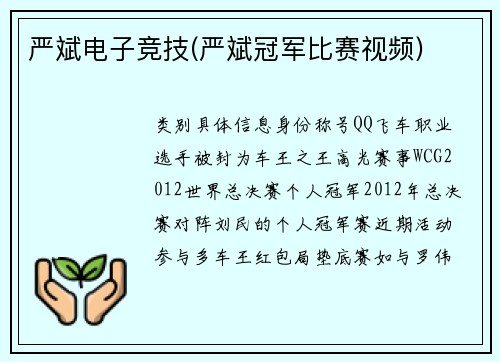 严斌电子竞技(严斌冠军比赛视频)